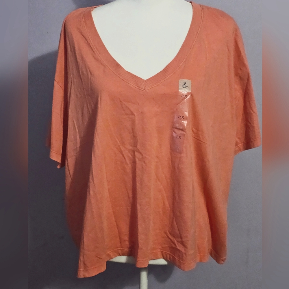 Yarn & Sea apricot plus size V-neck crop top t-shirt in 2X